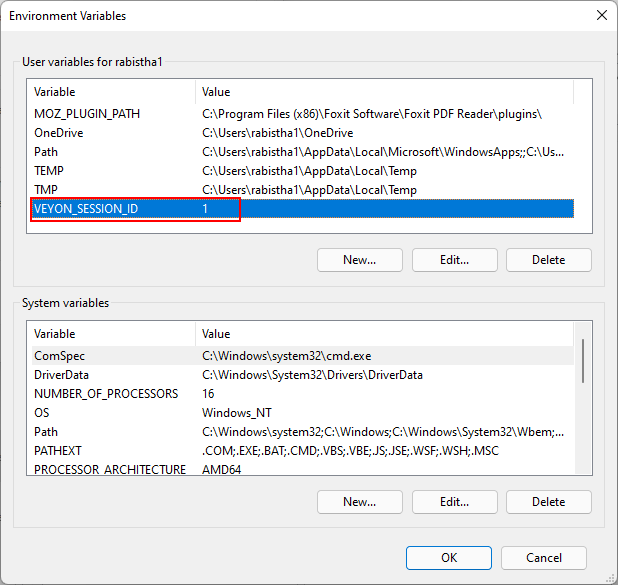 Set the Environment Variables for each workplace (Figure 12)